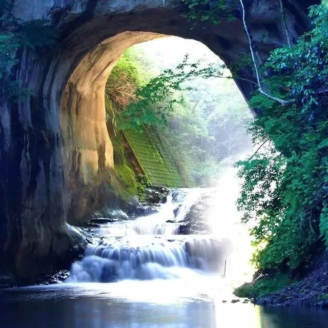 救援旅游者