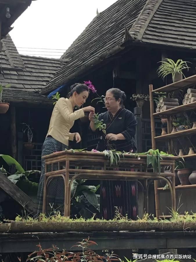 节奏之战