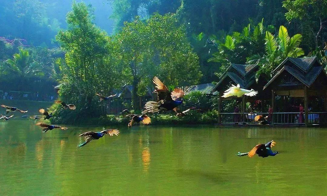 文明：太空