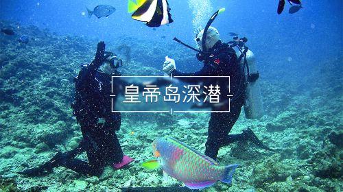 脑洞小老弟无实名认证