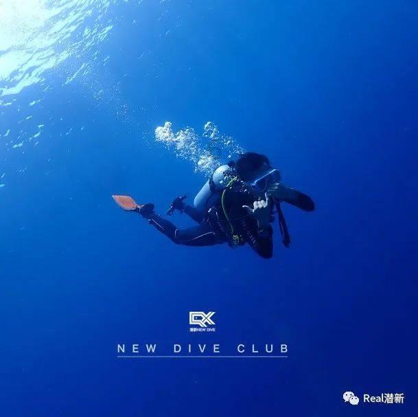万词王