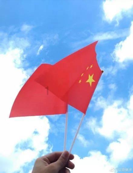 救援受困的鹭