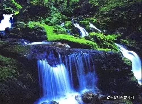 魔法时钟找不同
