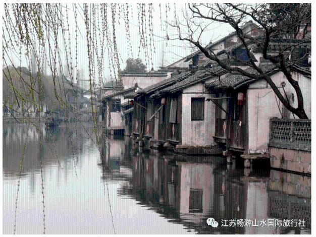 解救金刚鹦鹉
